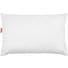 ZIRBENKISSEN 40/60 cm - Weiß, Natur, Textil (40/60cm) - Sleeptex ZIRBENKISSEN 40/60 cm - Weiß, Natur, Textil (40/60cm) - Sleeptex