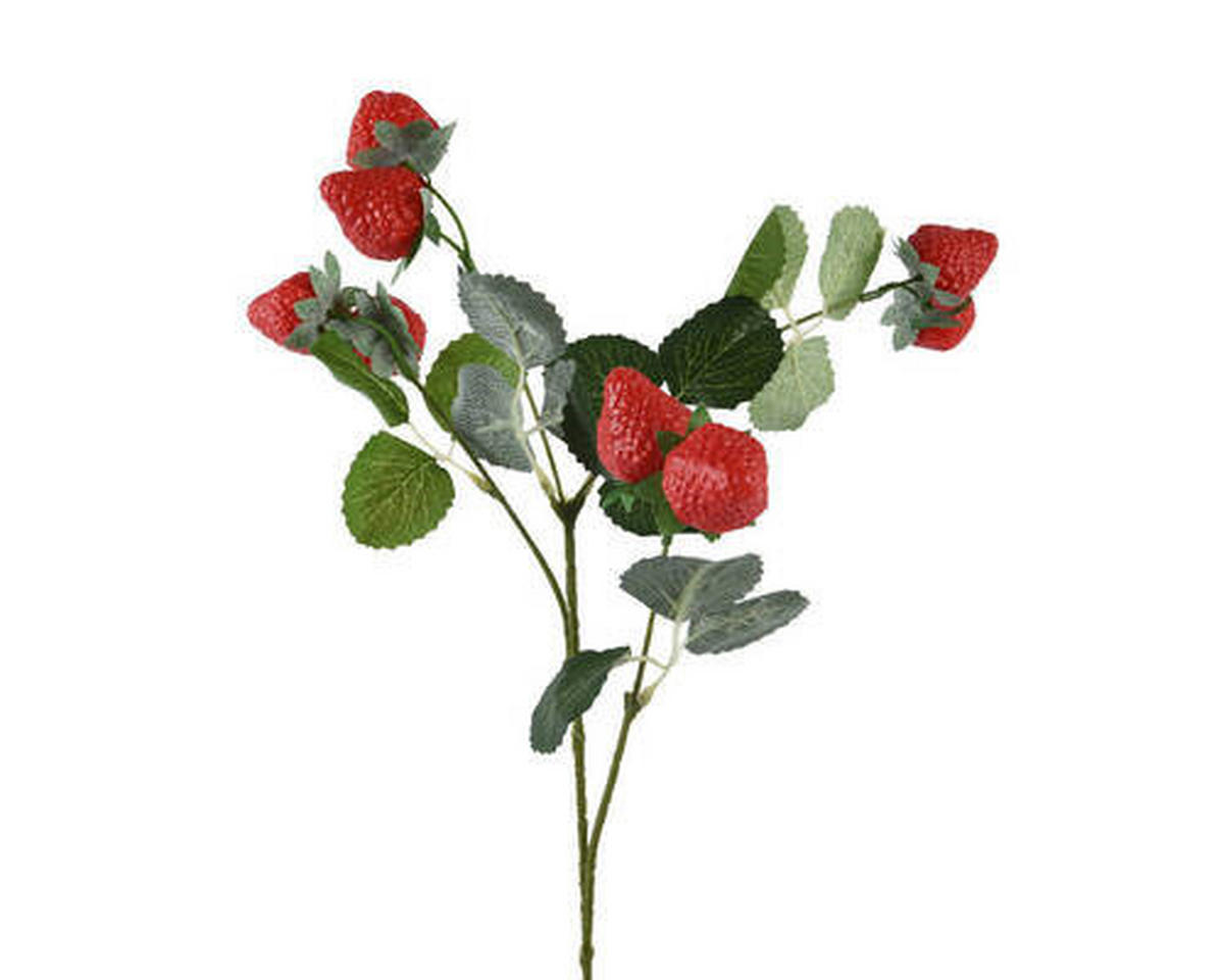 DEKORAČNÁ RASTLINA 69 cm - Basics (69cm)