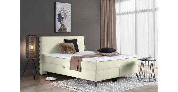 BOXBETT 160/200 cm in Creme - Creme/Schwarz, Design, Holz/Holzwerkstoff (160/200cm) - Xora