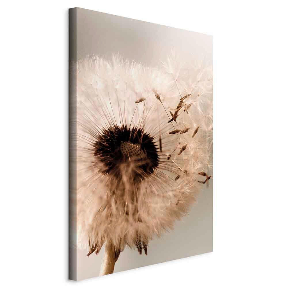 LEINWANDBILD Blumen Beige, Greige  - Greige/Beige, Basics, Holzwerkstoff/Textil (40/60/1.2cm) - artgeist