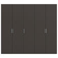 DREHTÜRENSCHRANK 251/223/61 cm,  in Graphitfarben, 5-türig  - Edelstahlfarben/Graphitfarben, Basics, Holzwerkstoff/Metall (251/223/61cm) - Novel
