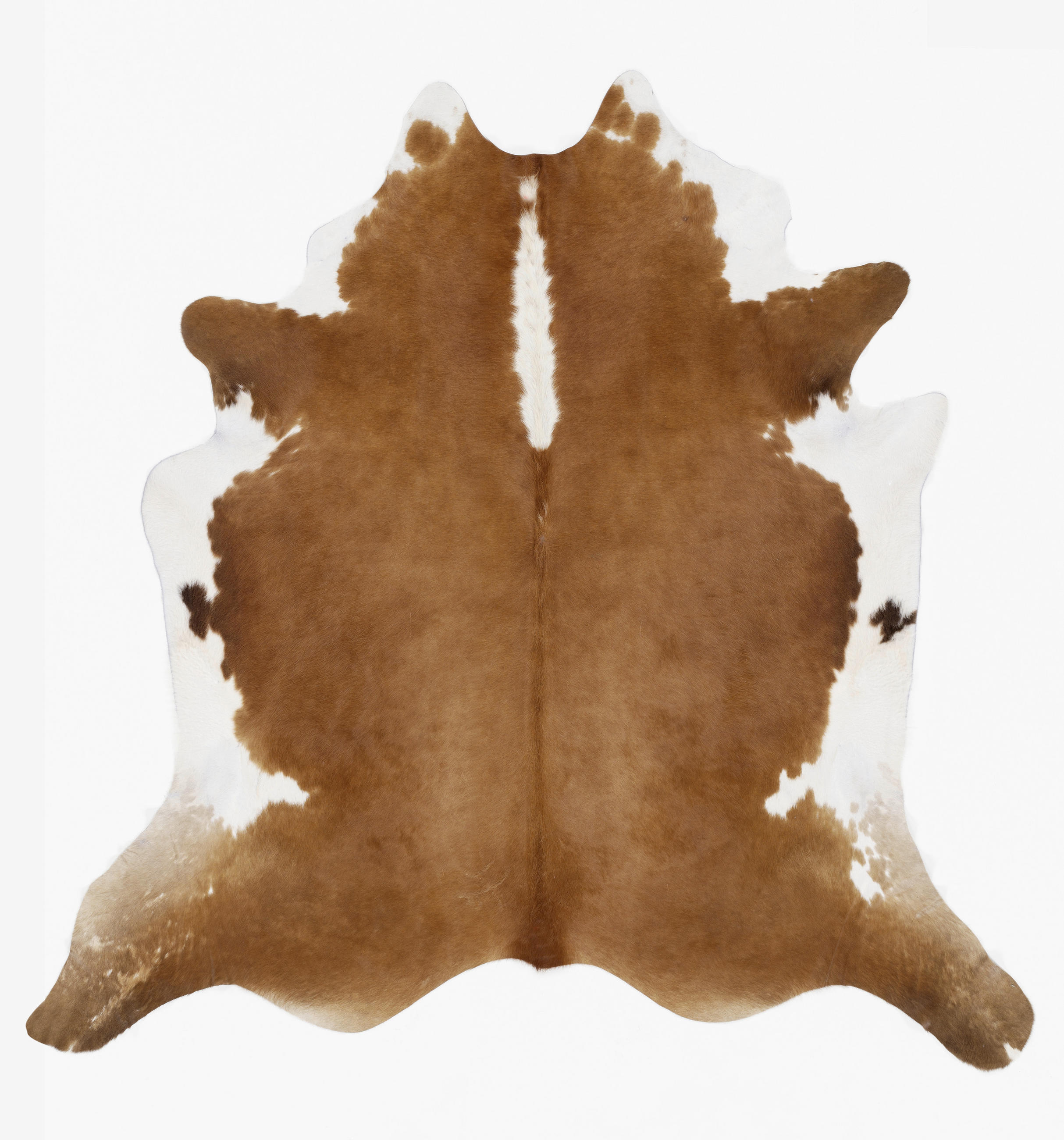 RINDERFELL 200/230 cm Hereford Braun, Weiß  - Braun/Weiß, LIFESTYLE, Leder/Fell (200/230cm) - Linea Natura