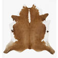 RINDERFELL 200/230 cm Hereford Braun, Weiß  - Braun/Weiß, LIFESTYLE, Leder/Fell (200/230cm) - Linea Natura