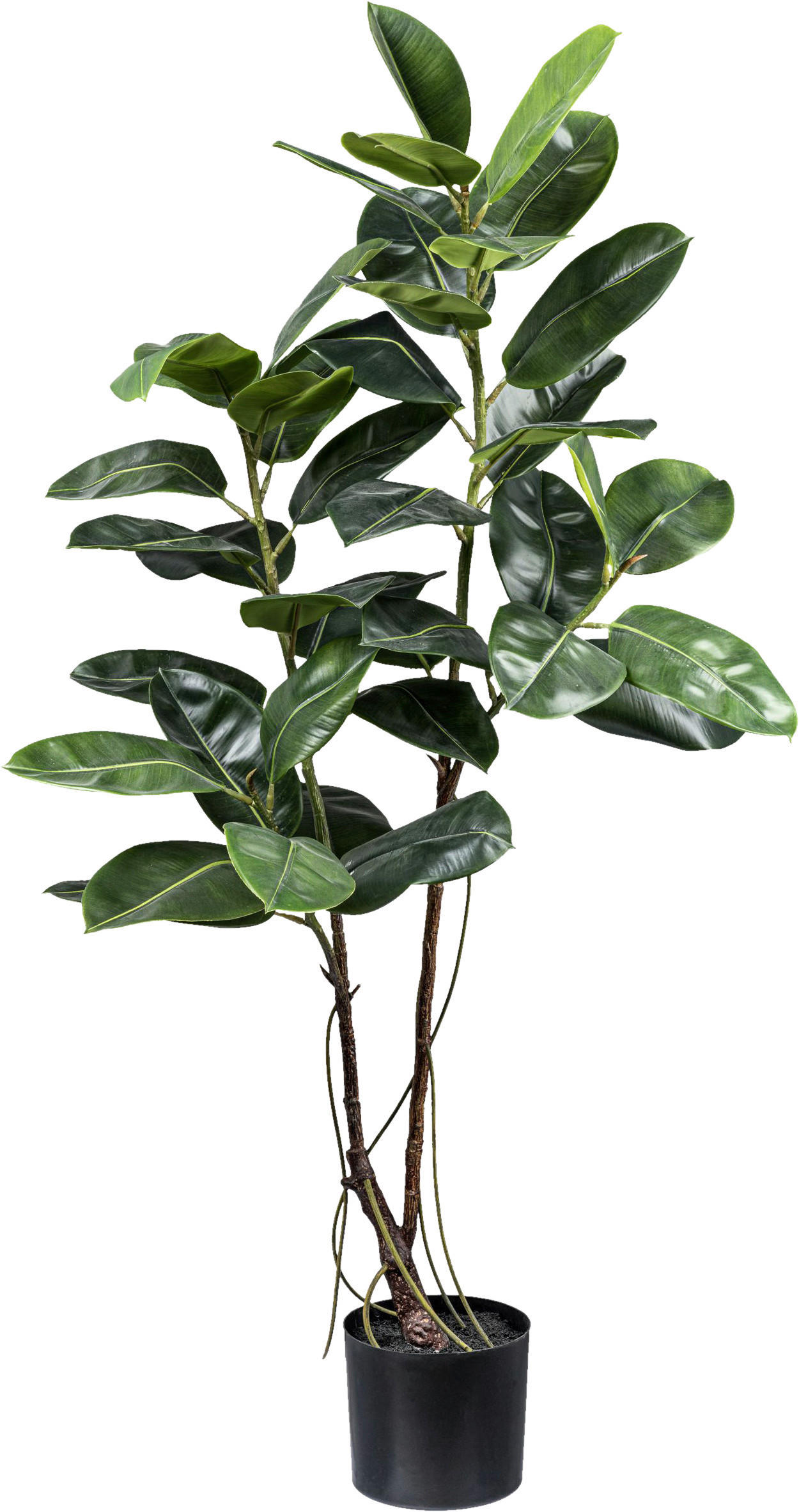 KUNSTPFLANZE 150 cm  - Schwarz/Braun, Design, Kunststoff (150cm) - P & B