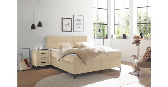 BOXSPRINGBETT 180/200 cm  in Creme  - Creme/Schwarz, Design, Holzwerkstoff/Kunststoff (180/200cm) - Xora