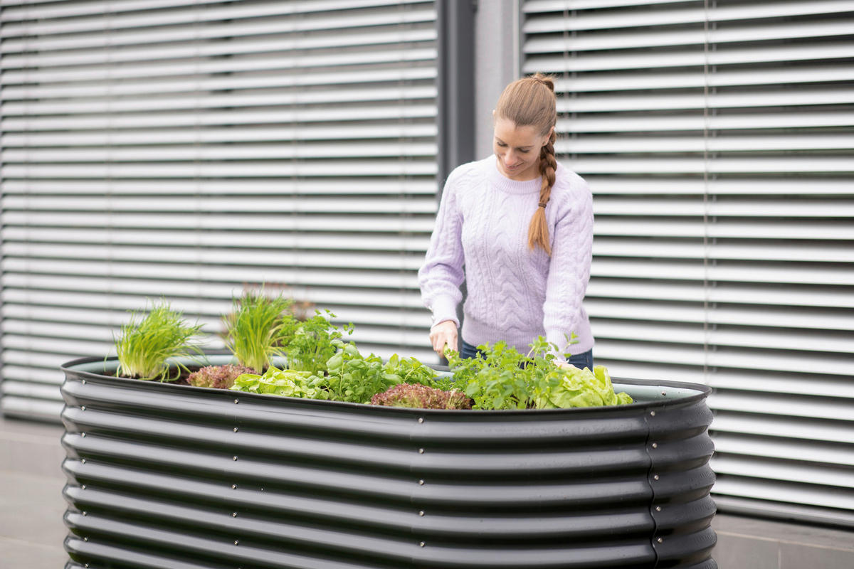 HOCHBEET  - Anthrazit, Basics, Metall (240/82/80cm) - Ambia Garden