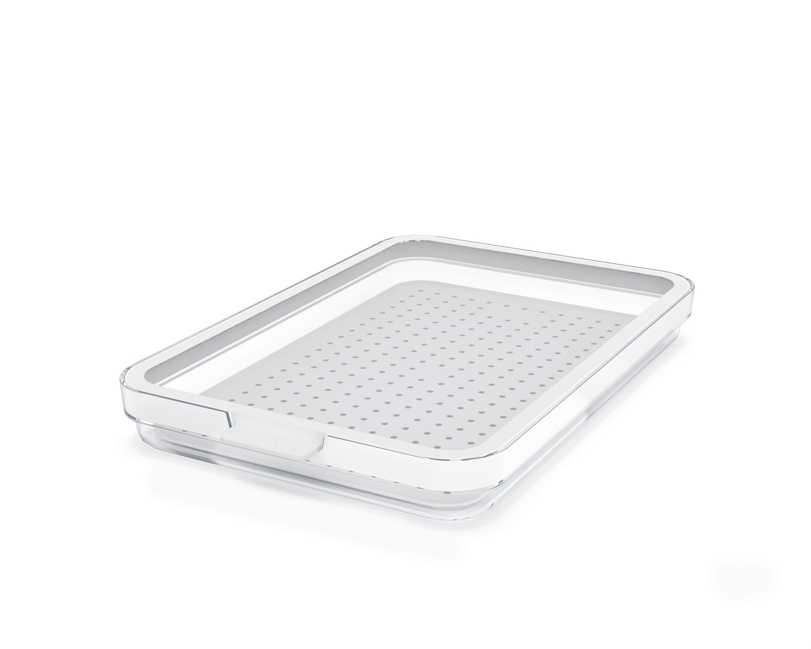 KÜHLSCHRANKBOX CAUMA  - Klar/Weiß, Basics, Kunststoff (28,2/18,4/3,1cm) - Rotho