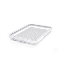 KÜHLSCHRANKBOX CAUMA  - Klar/Weiß, Basics, Kunststoff (28,2/18,4/3,1cm) - Rotho