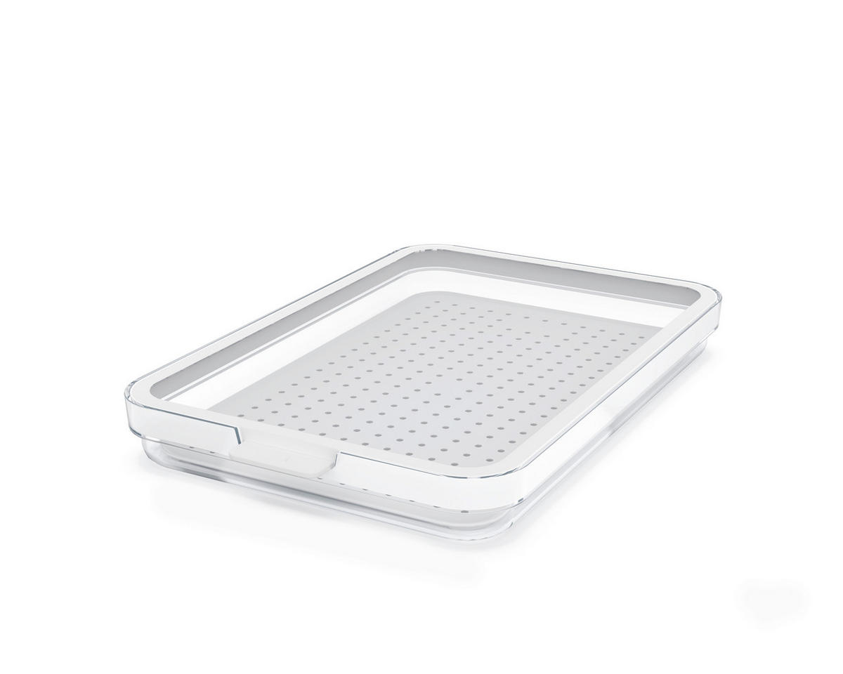 KÜHLSCHRANKBOX CAUMA  - Klar/Weiß, Basics, Kunststoff (28,2/18,4/3,1cm) - Rotho