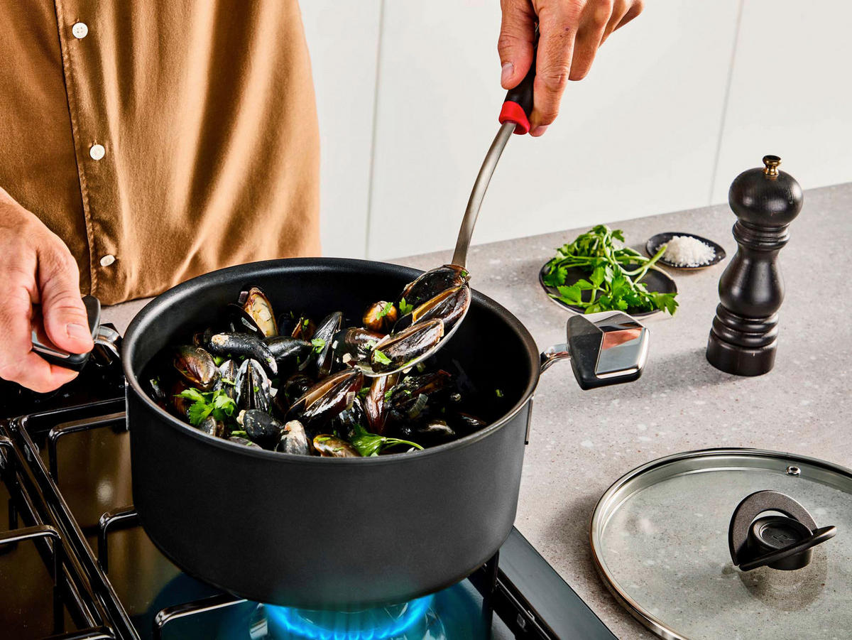 STEKGRYTA Excellence Stewpot PTFE 20 cm  - svart/transparent, Design, metall/glas (20cm) - Tefal