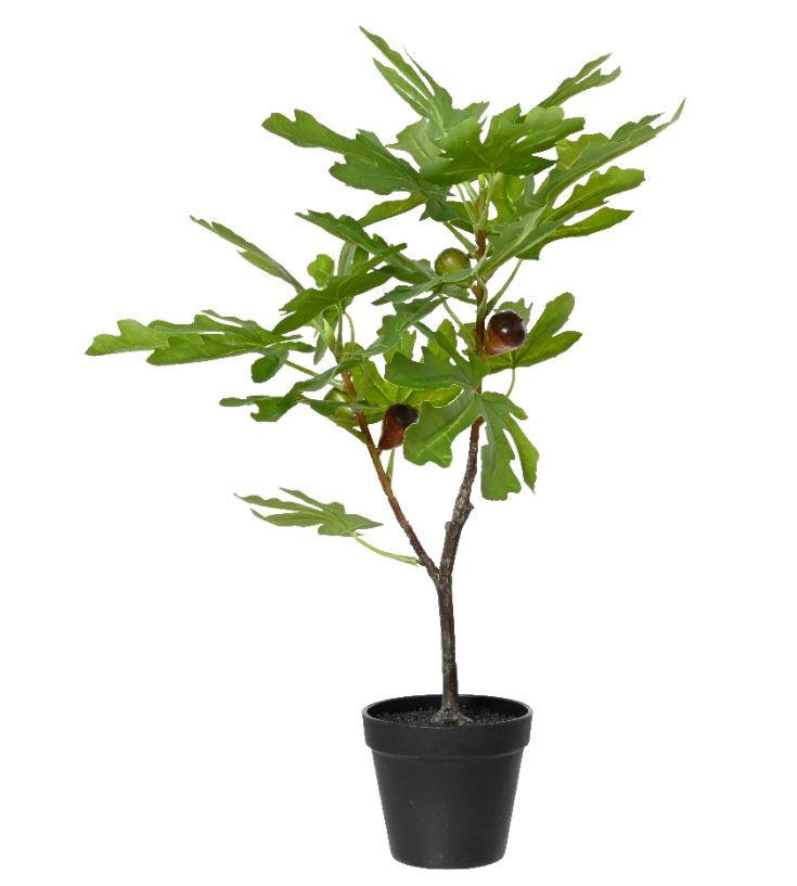 KUNSTBLUME  - Schwarz/Grün, Basics, Kunststoff (71,50/38,50/14,50cm)