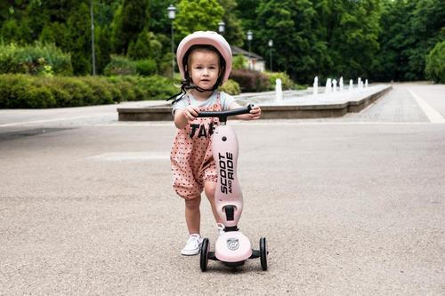 2IN1 - LAUFRAD/KINDERSCOOTER - Rosa, Trend, Kunststoff/Metall (24/37/55cm) - Scoot and Ride