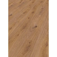 LAMINATBODEN Exquisit  - Eichefarben, KONVENTIONELL, Holz (138.0/19.3/0.8cm)