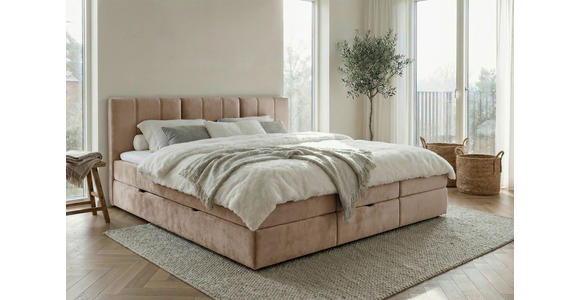 FAMILIENBETT - Schwarz/Braun, Design, Holzwerkstoff/Kunststoff (270/200cm) - Esposa