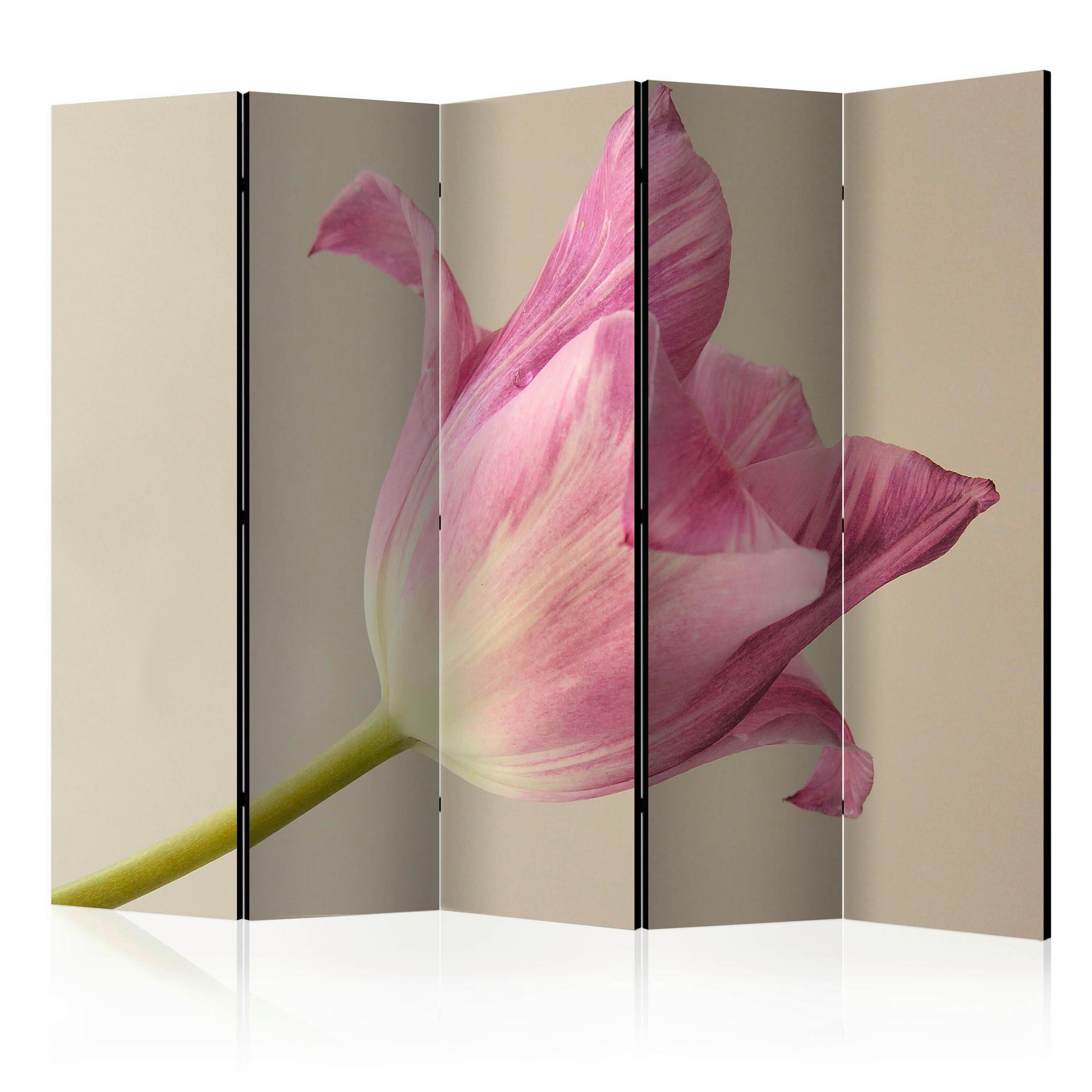 artgeist Paravent Pink, Beige 225x172x3 cm