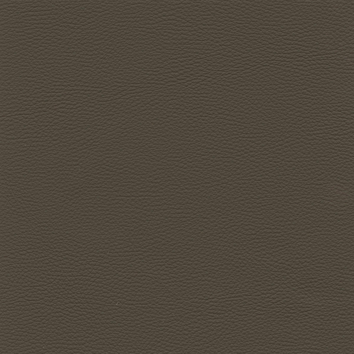 2,5-SITZER in Leder Braun  - Schwarz/Braun, Design, Leder/Metall (195/90/109cm)