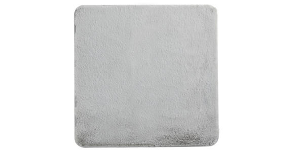 BADEMATTE Hellgrau 60/60 cm - Hellgrau, Basics, Kunststoff/Textil (60/60cm) - Esposa