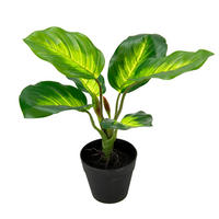 POTHOS  - Grün, Basics, Textil (22/25cm)