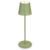 PUNJIVA STONA LAMPA - zelena, Trendi, metal (12/22-38cm)