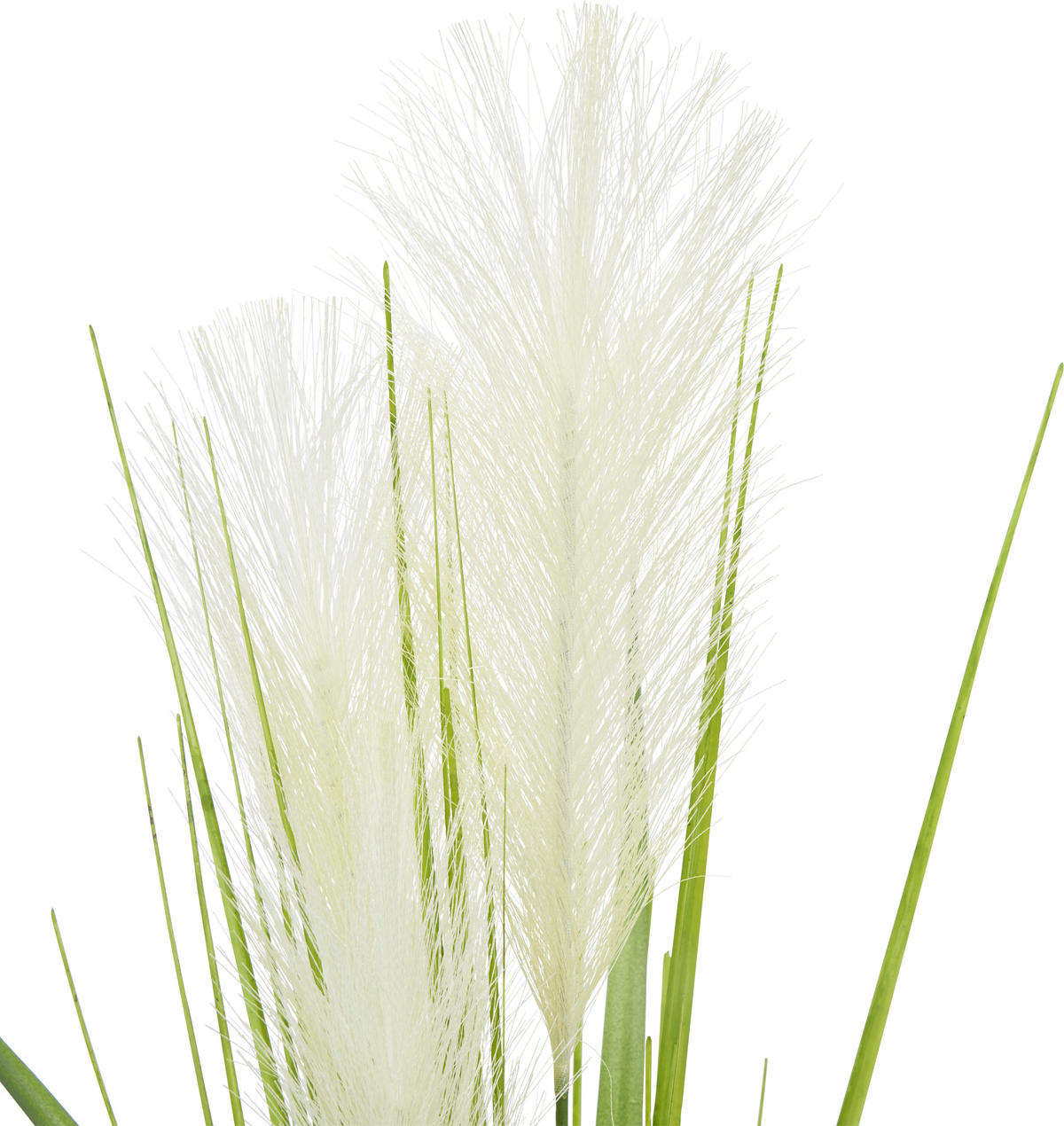 DEKORAČNÁ TRÁVA, 70 cm - krémová/zelená, Basics, plast (70cm)