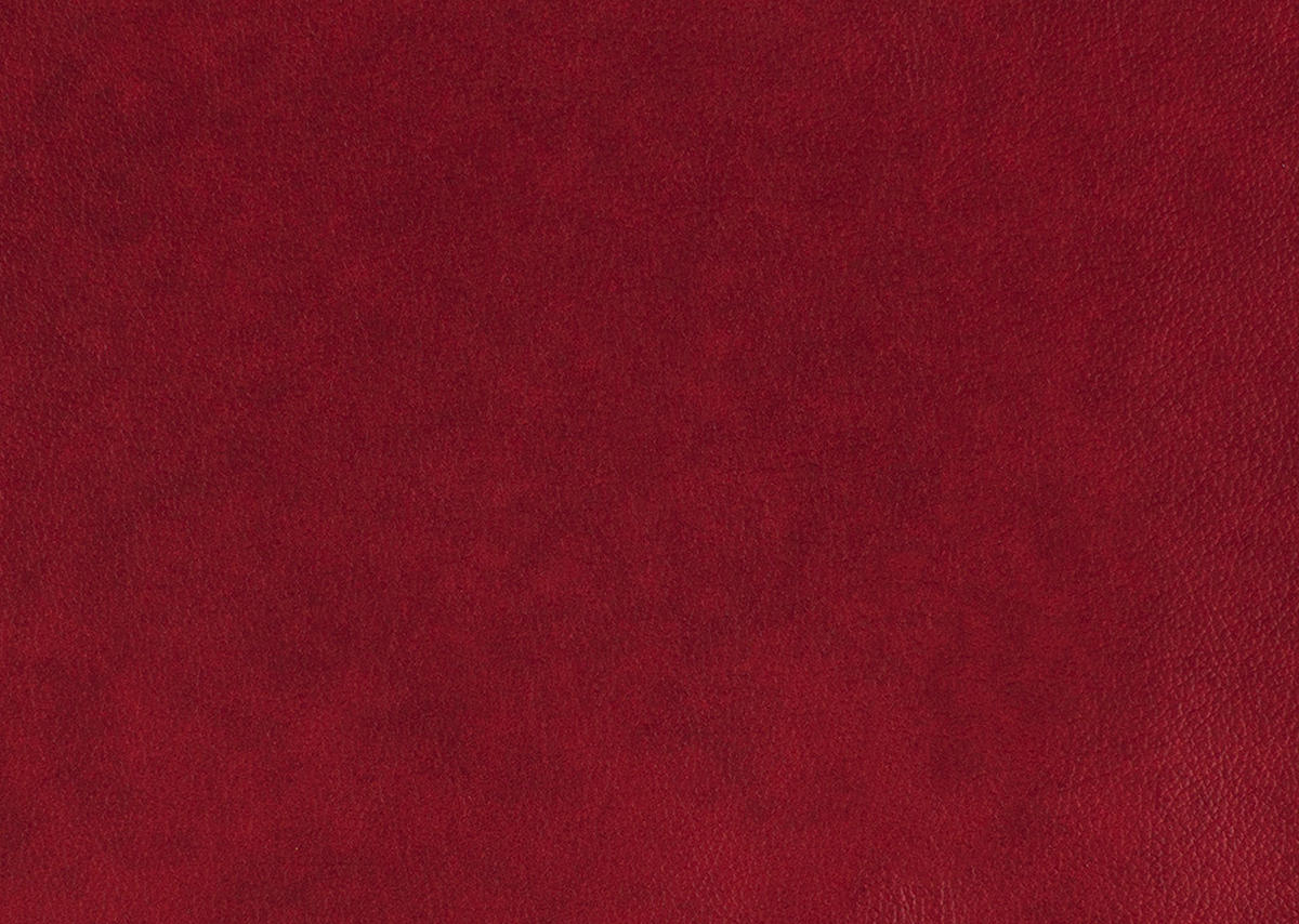 2,5-SITZER in Echtleder Rot  - Rot/Schwarz, Natur, Leder/Metall (194/81/110cm) - Valdera