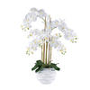 KUNSTPFLANZE Orchidee 90 cm  - Weiß/Grün, Design, Kunststoff (90cm) - P & B