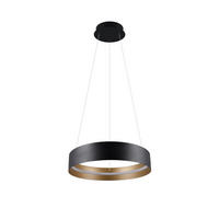 ZÁVĚSNÉ LED SVÍTIDLO, 50/150 cm  - černá/barvy zlata, Design, kov (50/150cm) - Musterring