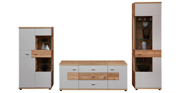 WOHNWAND in Hellgrau, Eiche Artisan, Wildeiche 320/202/48 cm - Wildeiche/Hellgrau, Design, Glas/Holz (320/202/48cm) - Novel