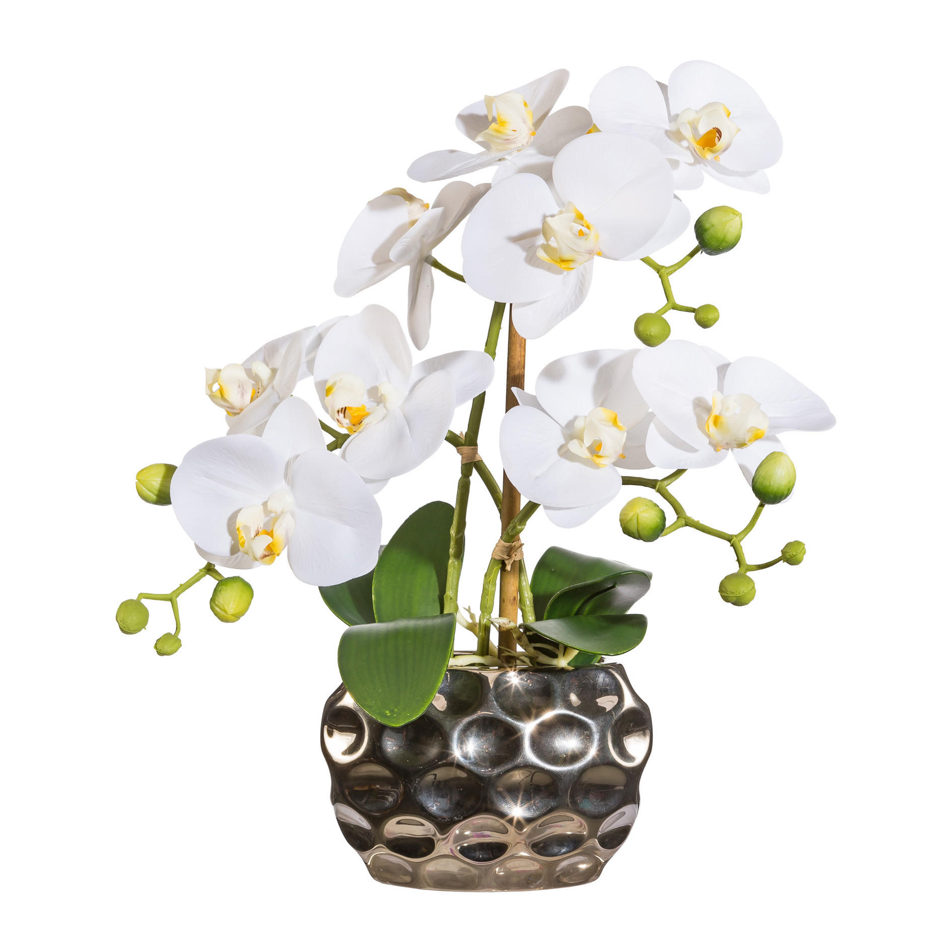 KUNSTPFLANZE Orchidee 30 cm  - Silberfarben/Weiß, Design, Kunststoff (30cm) - P & B