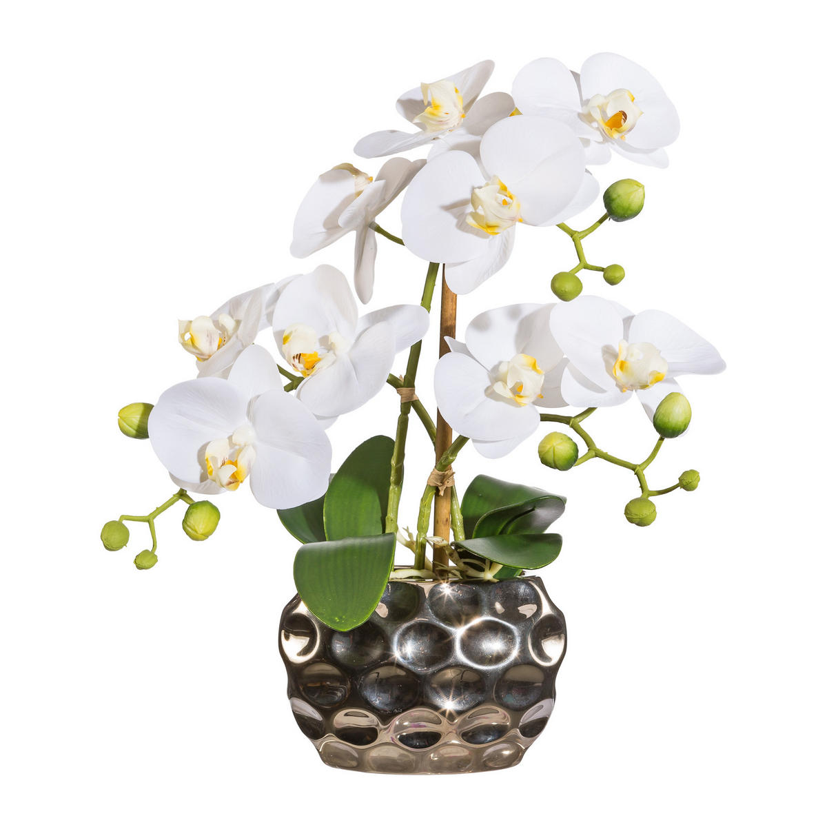 KUNSTPFLANZE Orchidee 30 cm  - Silberfarben/Weiß, Design, Kunststoff (30cm) - P & B