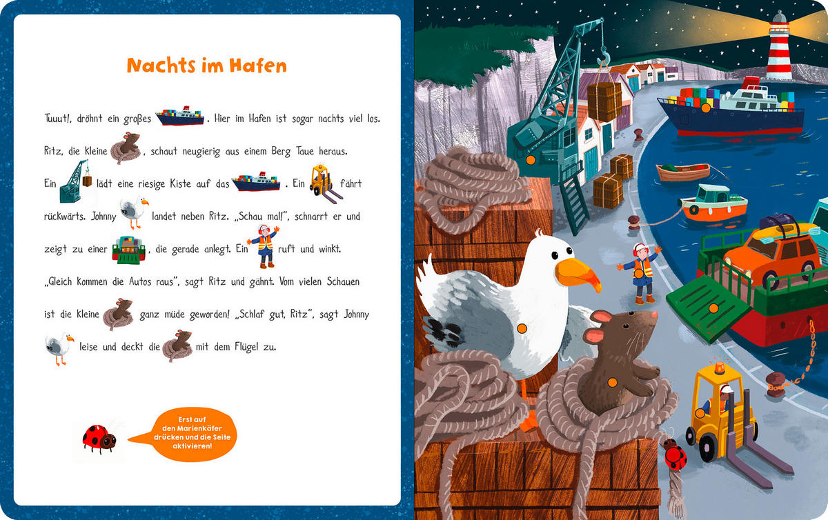 BUCH - Basics (27,60/22/1,80cm)