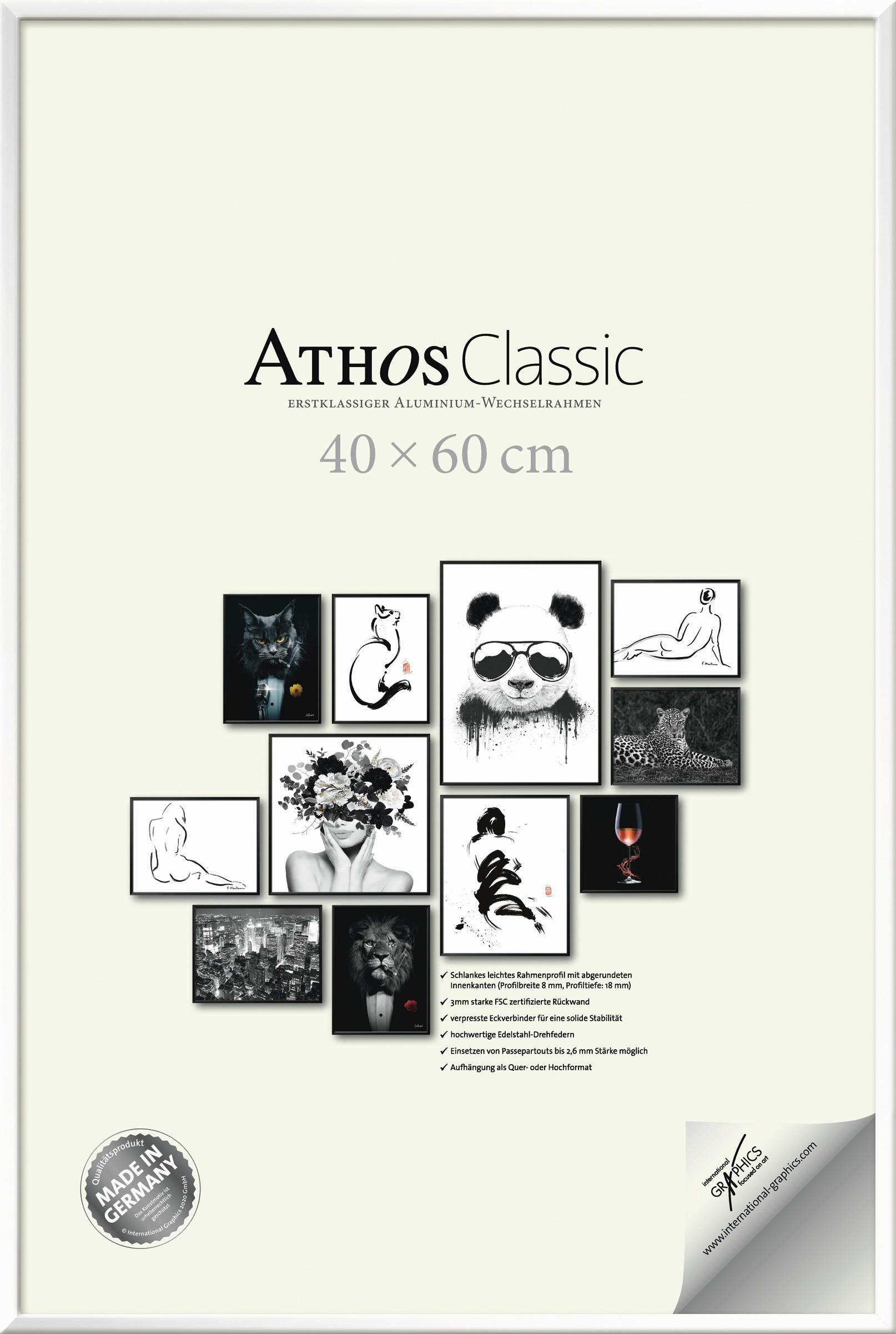 BILDERRAHMEN - Weiß Hochglanz, Basics, Papier/Holzwerkstoff (40/60/1,8cm)