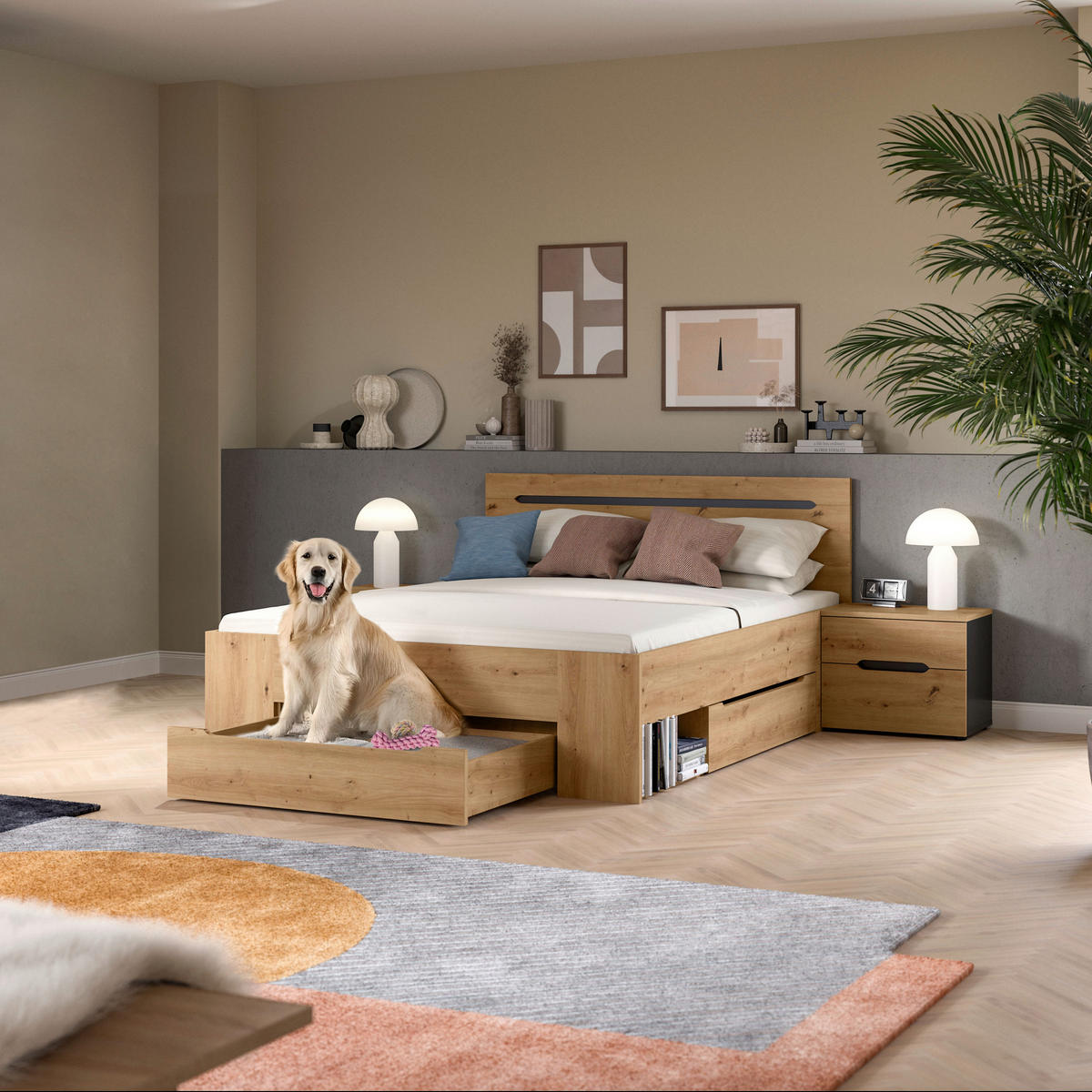 SCHLAFZIMMER Grau, Eiche Artisan  - Eiche Artisan/Grau, MODERN, Holzwerkstoff (244/87/205cm) - MID.YOU