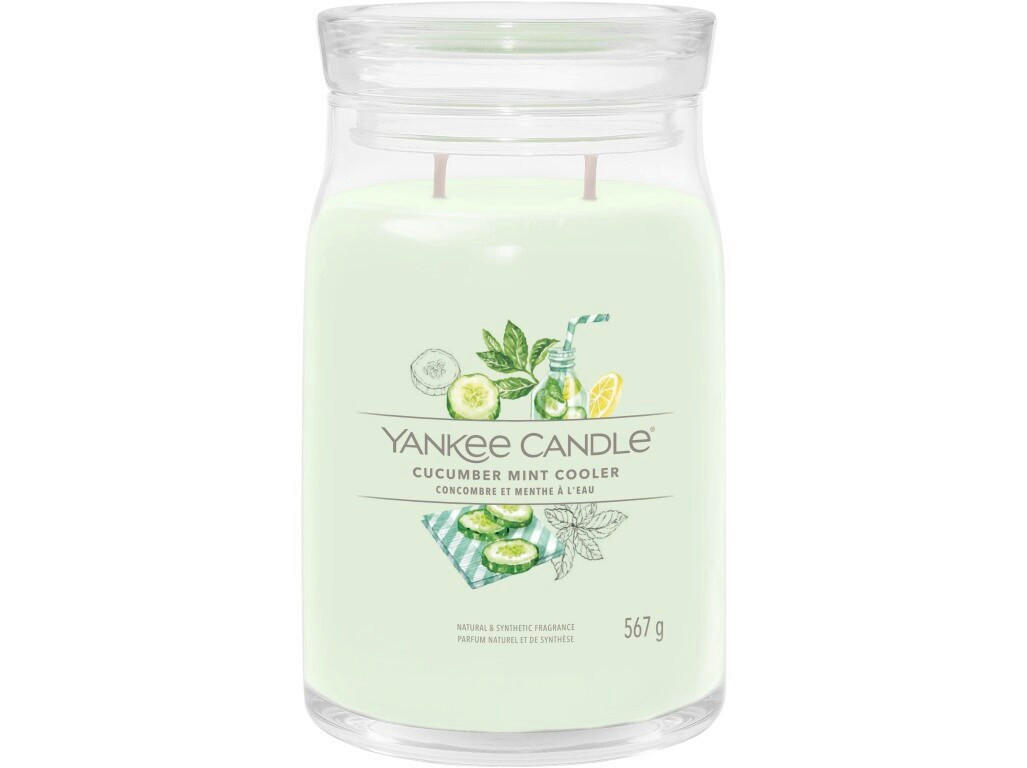 VONNÁ SVÍČKA  - šalvějově zelená/čiré, Basics, parafín/sklo (9,3/15,7/9,3cm) - Yankee Candle