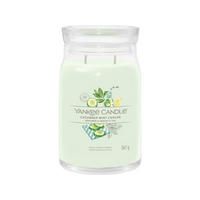 VONNÁ SVÍČKA  - šalvějově zelená/čiré, Basics, parafín/sklo (9,3/15,7/9,3cm) - Yankee Candle