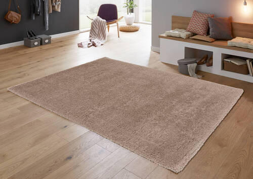 HOCHFLORTEPPICH 200/290 cm Salerno Hellbraun  - Hellbraun, Basics, Textil (200/290cm) - Novel