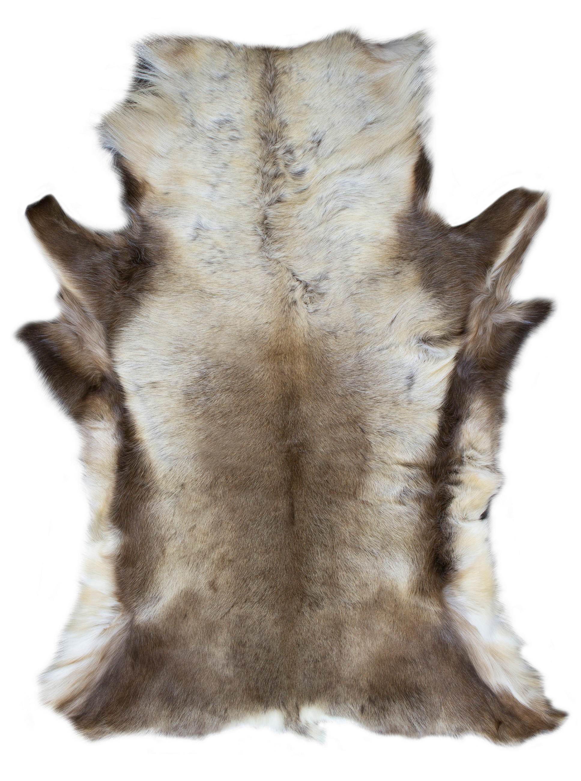 IMITACE SOBÍ KOŽEŠINY, 115/90 cm, béžová - béžová, Design, kožešina (115/90cm)