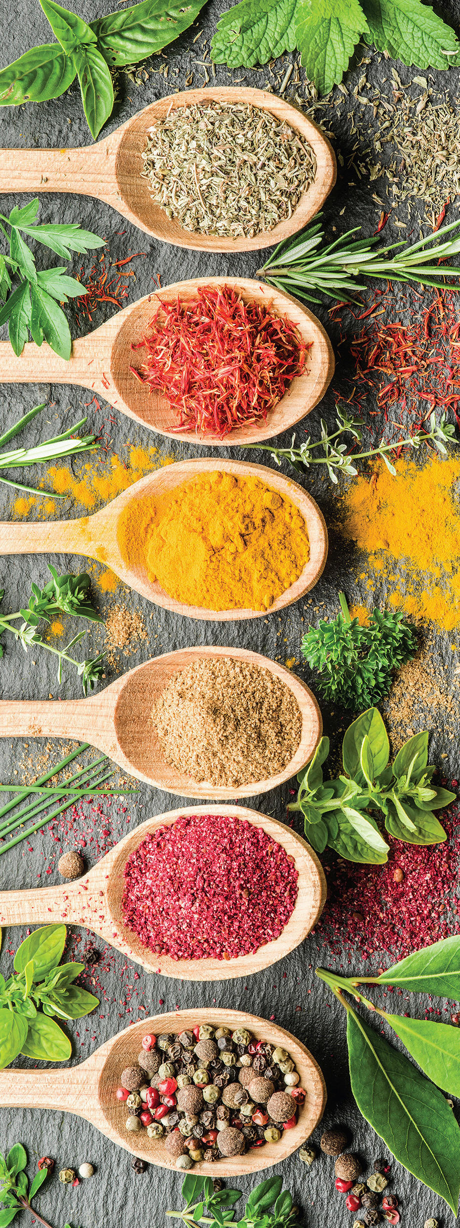 GLASBILD Gewürze  - Multicolor, LIFESTYLE, Glas (30/80/1,40cm) - Euroart