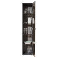 VITRINE Anthrazit  39/204/44 cm  - Anthrazit, Design, Glas/Holz (39/204/44cm) - Johann Jakob