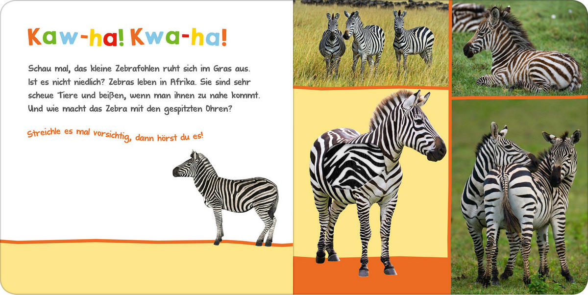 BUCH - Multicolor, Basics, Papier (19,5/19,5/1,8cm)