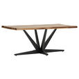 TISCHPLATTE      - Sheeshamfarben, Design, Holz (200/100/5cm) - Landscape