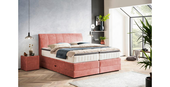 BOXSPRINGBETT 200/200 cm  in Koralle  - Wengefarben/Koralle, KONVENTIONELL, Holz/Textil (200/200cm) - Novel