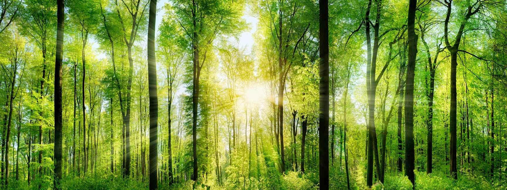 Tablou Pe Sticlă 50/110 cm  - Basics, sticlă (50/110cm)