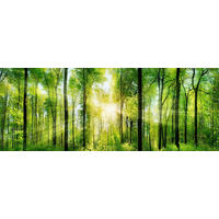 ÜVEGKÉP 50/110 cm  - Basics, üveg (50/110cm)