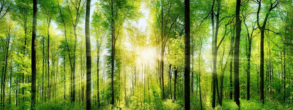 ÜVEGKÉP 50/110 cm  - Basics, üveg (50/110cm)