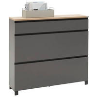 OMARA Z LOPUTAMI ZA ČEVLJE furnirano siva, barve hrasta - siva/barve hrasta, Design, kovina/leseni material (120/108/31cm) - Dieter Knoll