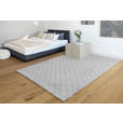 HOCHFLORTEPPICH 120/160 cm Grau  - Grau, Basics, Textil (120/160cm) - Novel