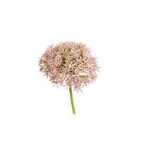 ALLIUM  - Rosa/Grün, Basics, Kunststoff (63cm)