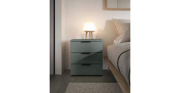 NACHTSCHRANK 45/61/40 cm - Salbeigrün/Schwarz, Basics, Holzwerkstoff/Kunststoff (45/61/40cm) - Carryhome