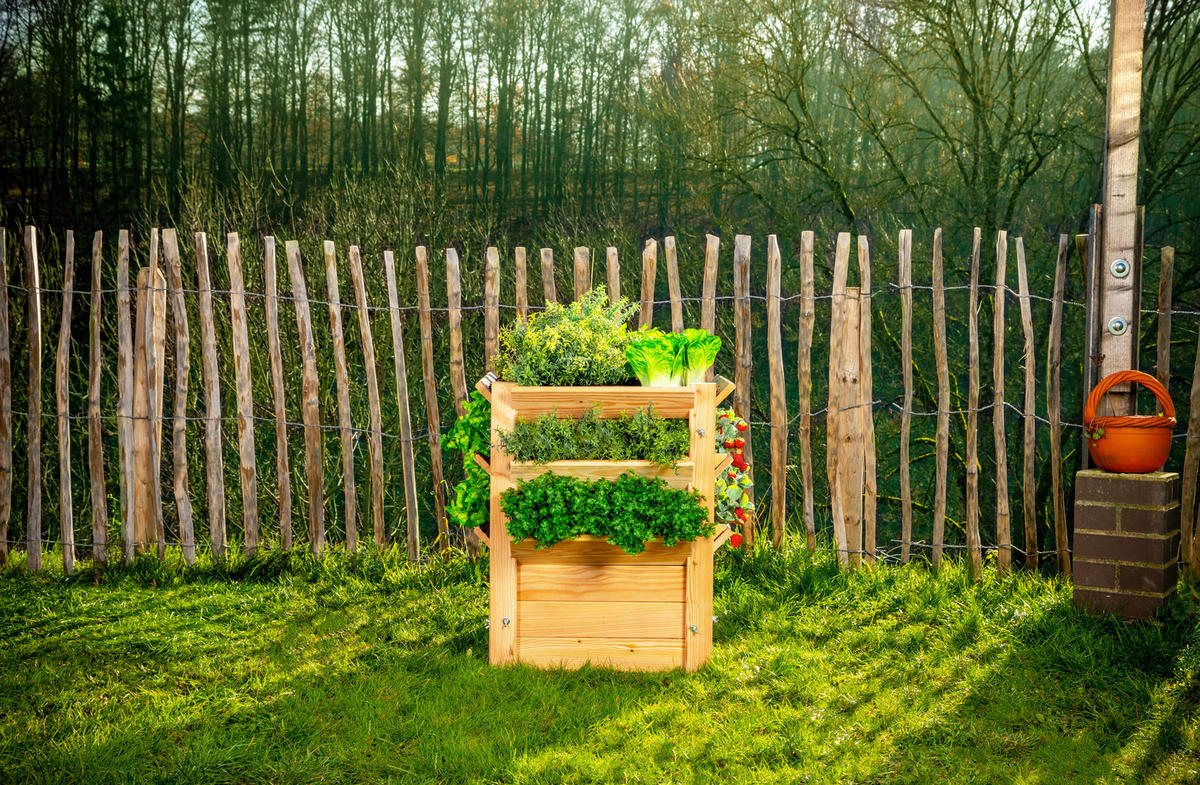 VYVÝŠENÝ ZÁHON   - farba smrekovca, Basics, drevo (65/73/65cm)